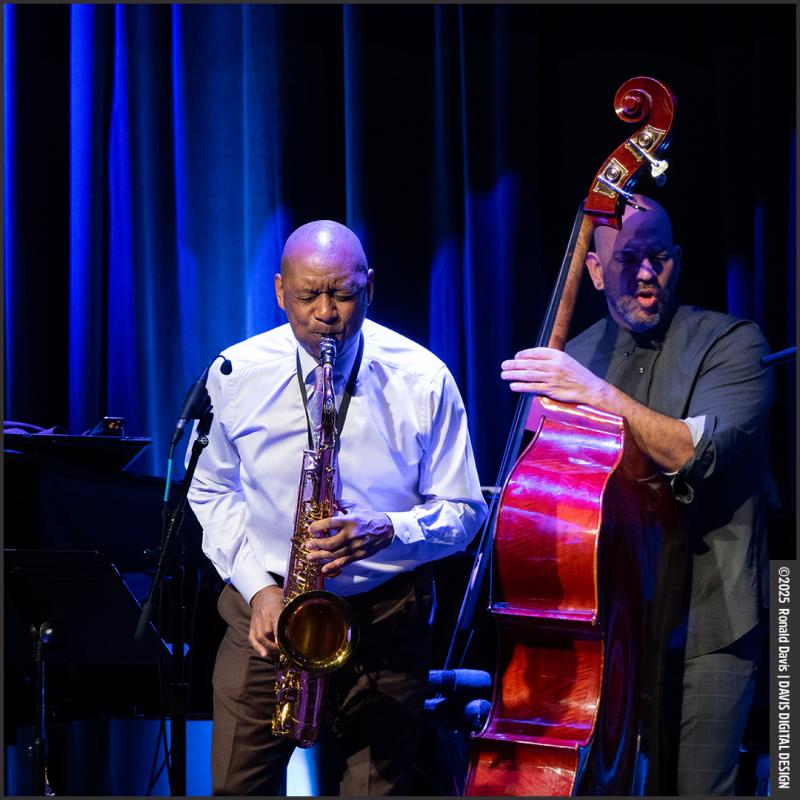 Click to view larger version